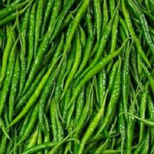 G4 Green Chilli, Speciality : Optimum Freshness