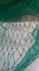 Green Bird Net