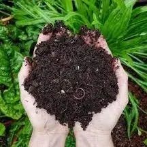 Organic Fertilizer Bio Compost