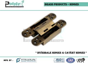 Brass Invisible Covert Hinges