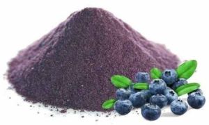 Spray Dried Blueberry Powder