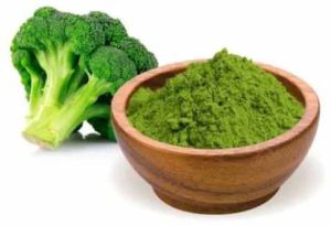 Spray Dried Broccoli Powder, Color : Green, Packaging Type : Vaccum Pack For Flavour