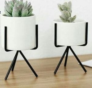 Garden Plant Stands