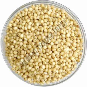 Fine Processed Organic Dried Millet Seeds, Color : Yellow