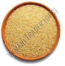 Organic Little Millet Seeds, Variety : Natural