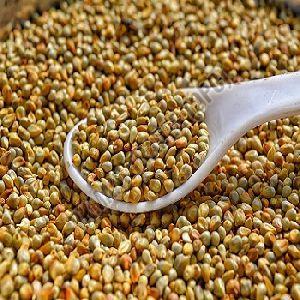 Organic Natural Millet Seeds, Packaging Type : Plastic Bag