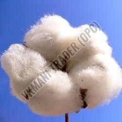 Virgin Raw Cotton For Textile Industry