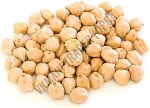 Organic White Chickpeas For Cooking