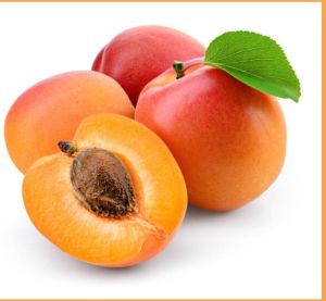 Organic Fresh Apricot 7-10 Days, Packaging Type : Plastic Bag, Packaging Size : 5-25kg