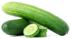 Fresh Cucumber, Color : Dark Green 5 To 7 Days, Packaging Type : Plastic Bag