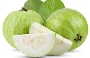 Fresh Guava, Color : Green 5 To 7 Days, Packaging Type : Paper Box