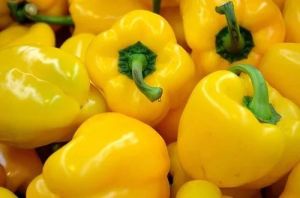 Fresh Yellow Capsicum 5-7days, Packaging Size : 5-25kg, Packaging Type : Plastic Bag