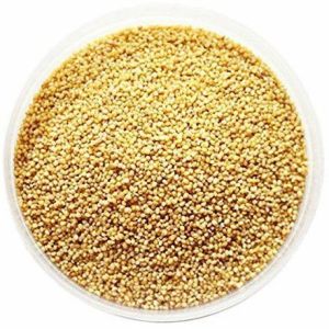 Natural Foxtail Millet, Color : Yellow Dried For Cooking