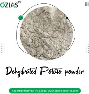 Dehydrated Potato Powder