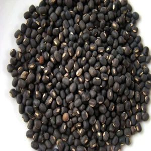 Black Urad Dal, Packaging Type : Plastic Packet For Human Consumption