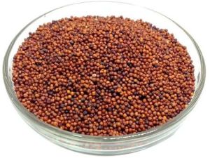 Natural Finger Millet Seeds, Color : Red, Packaging Type : Plastic Bag, Gunny Bag, Packaging Size : 10-25 Kg