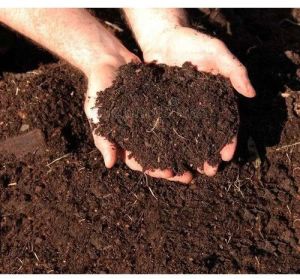 Organic Manure, Color : Brown, Packaging Type : Bag For Agriculture