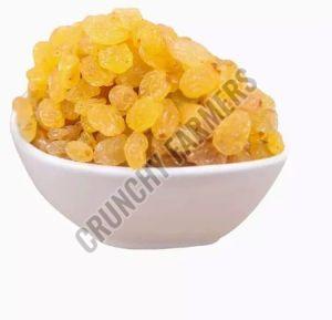 Golden Raisins For Human Consumption