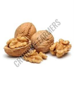 Shelled Walnuts, Speciality : High In Protein