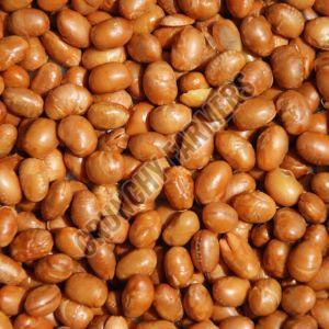 Soy Nuts For Human Consumption