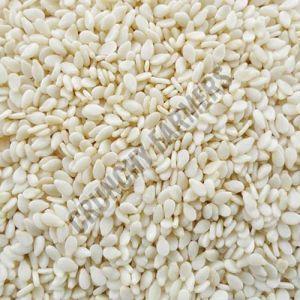 White Sesame Seeds For Used In Baking, Cooking, Salads, Snacks