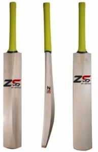 Kashmir Willow Cricket Bat