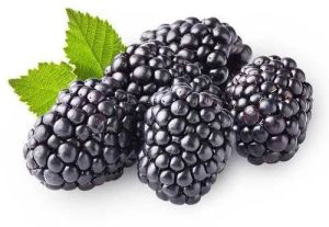 Fresh Blackberry