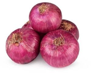 Fresh Pink Onion