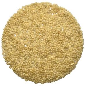 Organic Foxtail Millet Seeds 12months, Packaging Type : Plastic Bag, Packaging Size : 5-25 Kg