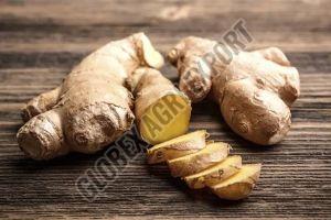 Indian Fresh Ginger, Color : Brown 7-10 Days, Packaging Size : 25-50kg