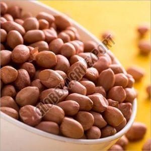 Raw Java Peanut Kernel, Color : Brownish 1year, Packaging Type : PP Bag