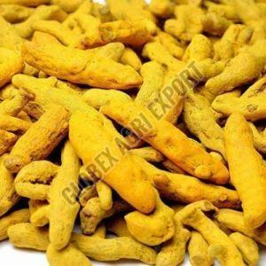 Nizamabad Turmeric Finger, Color : Yellow 6-12 Months, Packaging Size : 25-50kg