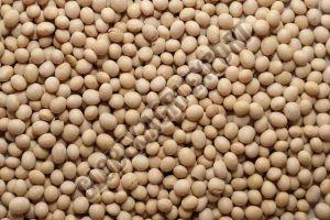 Organic Soybean Seeds 6-12 Months, Packaging Type : Plastic Bags For Oil Extraction