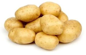 A Grade Fresh Potato