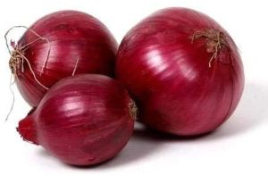 fresh red onion