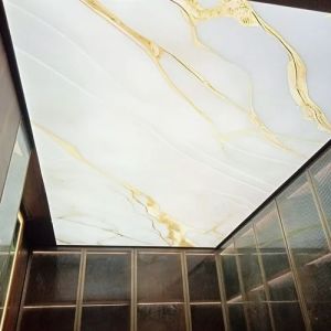 Bathroom 3D Stretch Ceiling