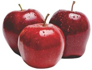 Import Quality Fresh Apple