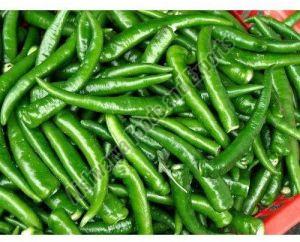 A Grade Green Chilli