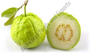 Fresh Natural Guava, Color : Green, Packaging Type : Paper Box, Packaging Size : 10kg