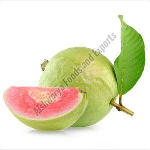 Natural Fresh Organic Guava, Color : Green, Red, Packaging Type : Paper Box, Packaging Size : 10kg