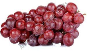 Organic Fresh Red Seedless Grapes, Packaging Type : Paper Box, Packaging Size : 10kg For Human Consumption