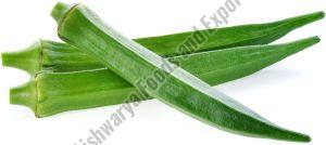 Natural Green Fresh Okra, Packaging Type : Bag, Packaging Size : 20 Kg