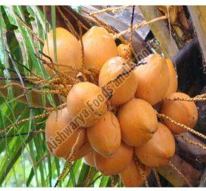 Natural Orange Tender Coconut, Packaging Type : Loose, Coconut Size : Medium