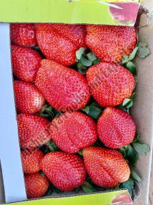 Organic Strawberry, Color : Red, Pink, Freezing Process : Cold Storage