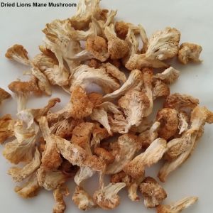 Dried Lions Mane Mushroom