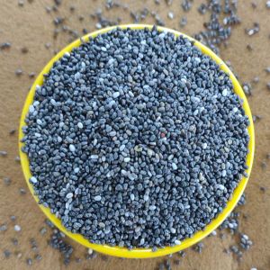 Chia Seeds, Packaging Size : 50g, 100g, 250g, 500g, 1Kg, 5Kg