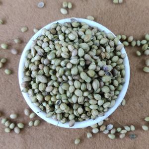 coriander seeds