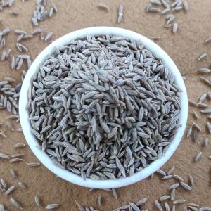 cumin seeds