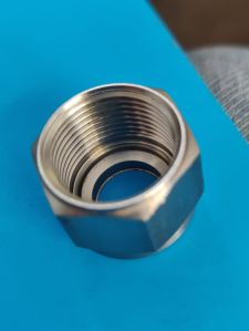 SS Hex Nuts