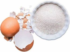 egg shell powder